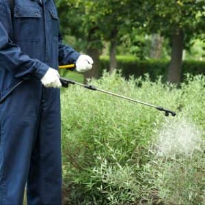 iStock-1351444871-min iStock-1351444871-min